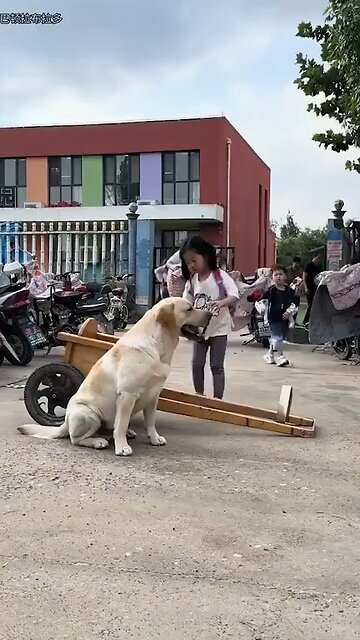 Love All Life Always #392 - Love This On So Many Levels. An AIFP.