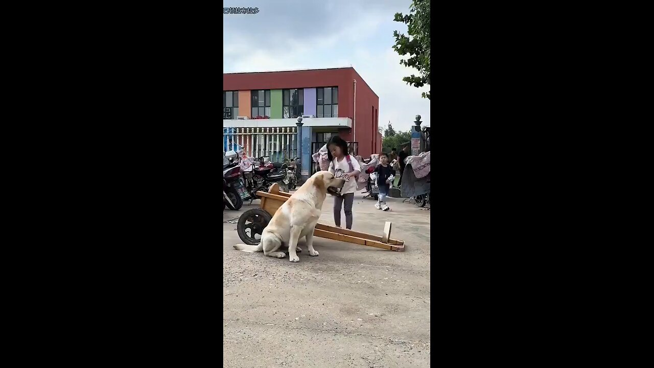 Love All Life Always #392 - Love This On So Many Levels. An AIFP.