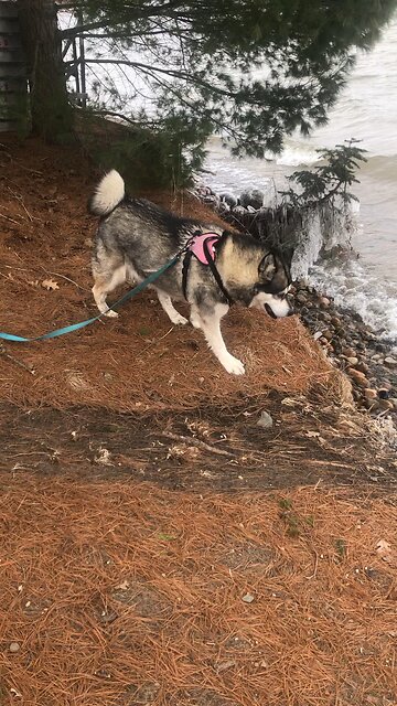 Tuesday April 8, The touch of his hand healed everyone.