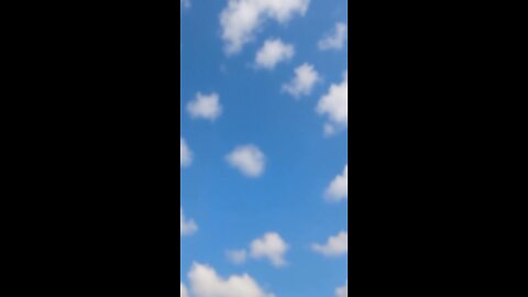 funny videos