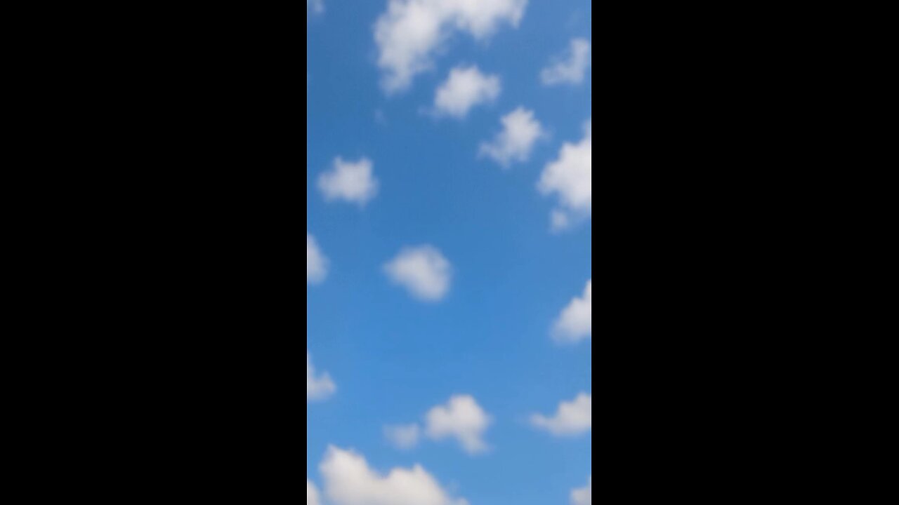 funny videos