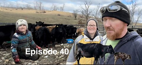 When the perfect family makes history sorting cattle!!