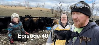 When the perfect family makes history sorting cattle!!