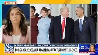 Bondi's Ball! Gabbard Offensive! Japan, Poland, Populists & Pokrovsk! Brief # 76