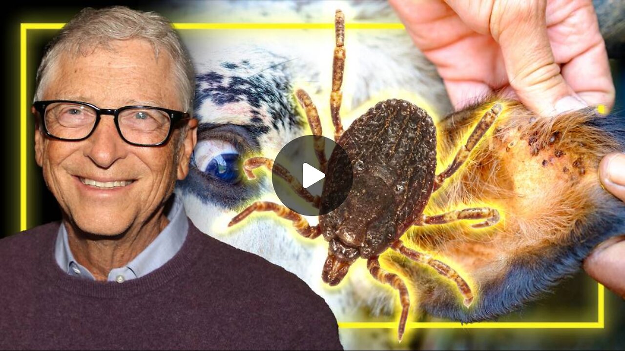 Bill Gates Funded US Scientists Study Releasing Ticks to Give Humans A Violent Allergy To Beef