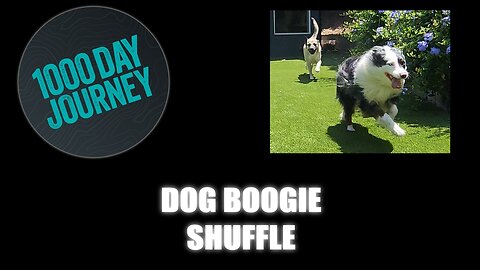 1000 Day Journey 0681 Dog Boogie Shuffle