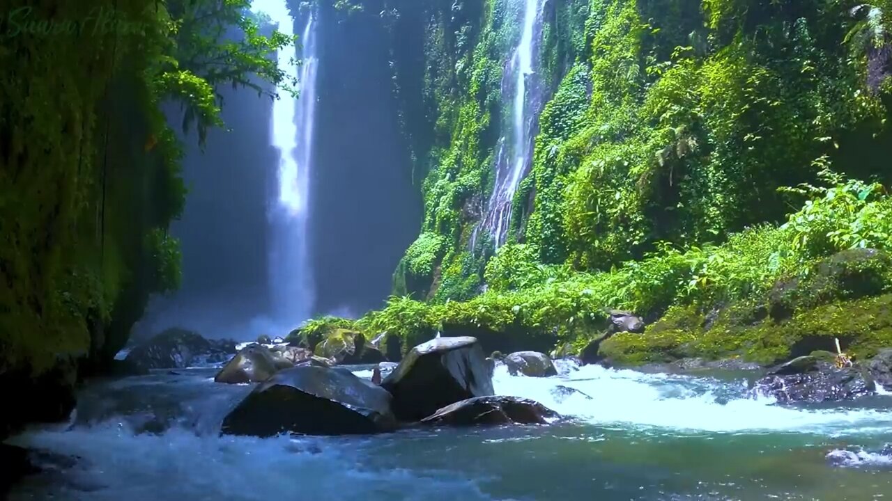 Waterfall & Nature Sounds Relaxation – A Treat for Your Eyes and Mind Easing Financial Worries