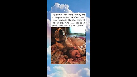 Jealous Dog Claims Girlfriend As His Own