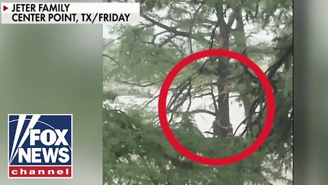 Woman swept 20 miles downriver while clinging to tree: 'IN SHOCK'