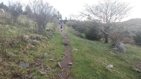 2025 Grayson Highlands 50M
