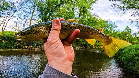 Trout Fishing with Spinners - When the Waters Turn Wild