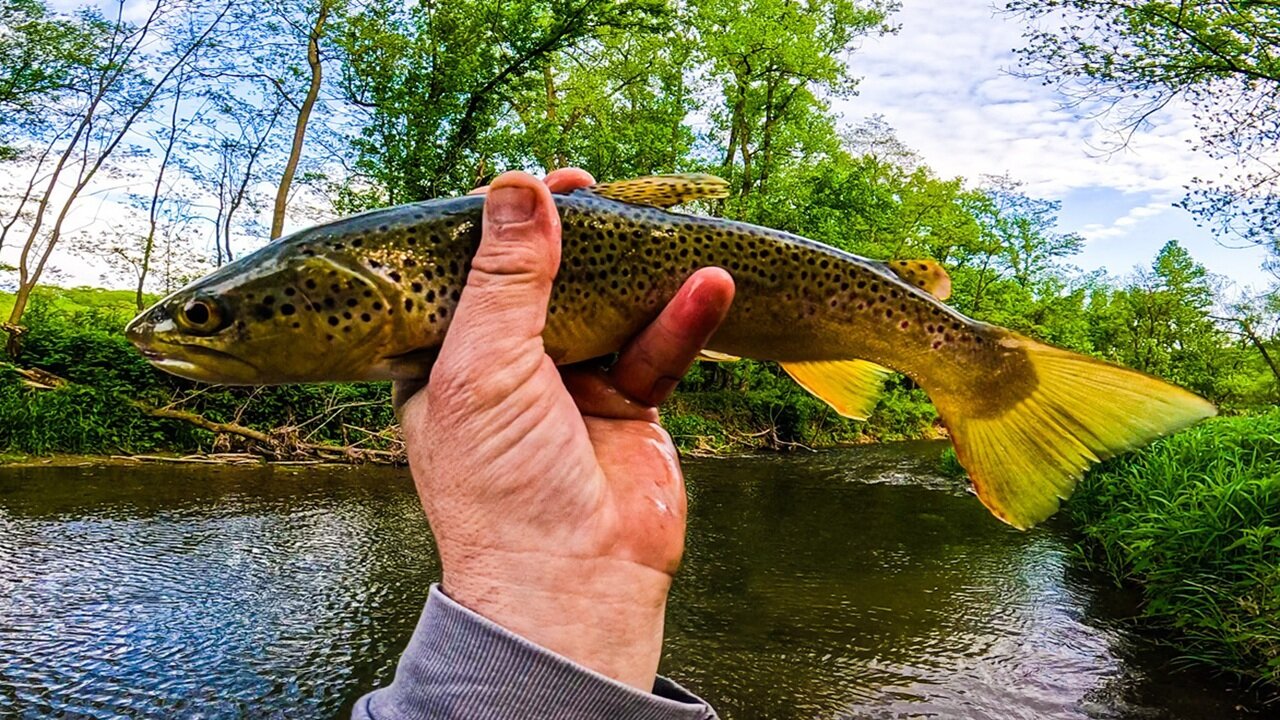 Trout Fishing with Spinners - When the Waters Turn Wild