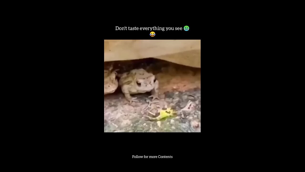 Don't Taste Everything you see