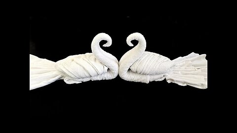 How to Make Swans Using Towels - Towel Folding Design - Towel art