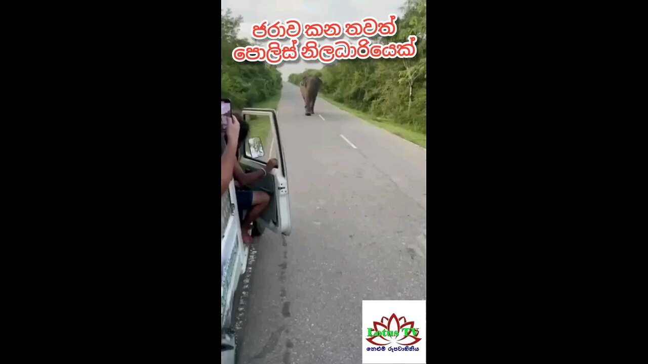 An old police officer who takes bribes
