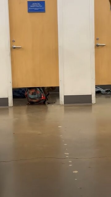 Average day at Walmart