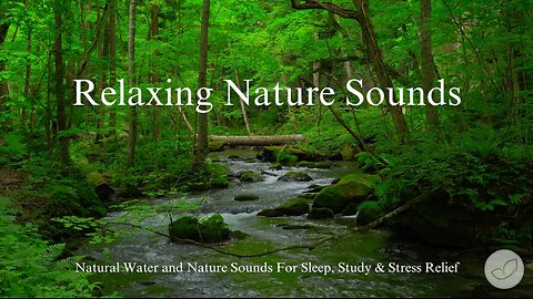 Relaxing Nature Sounds for Sleep, Study & Meditation | Calming Forest River Ambience