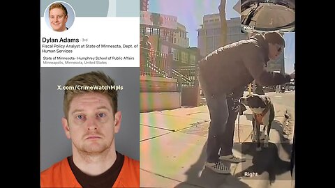 A Member Of Minnesota Governor Tim Walz's Administration Caught On Camera Vandalizing Teslas: Part 1
