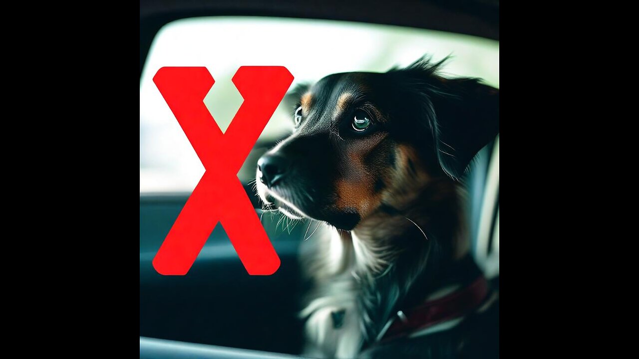 Does Your Dog Freak Out in the Car? Try THIS First. #doglover #dogcoach #yourpet