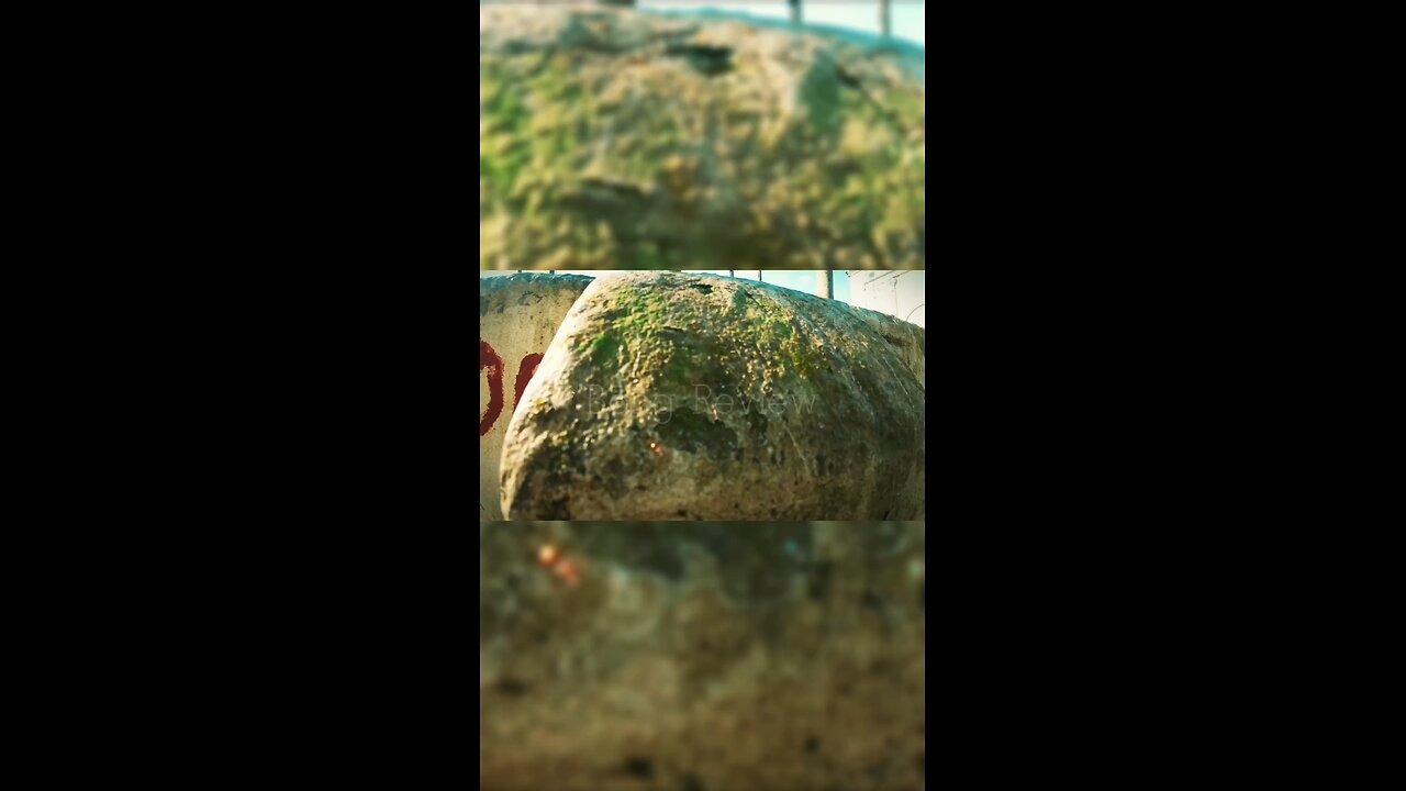 Life is beautiful.. ❤️ #Nawab #faizunnesachowdhurani #nawab_faizunnesa_house