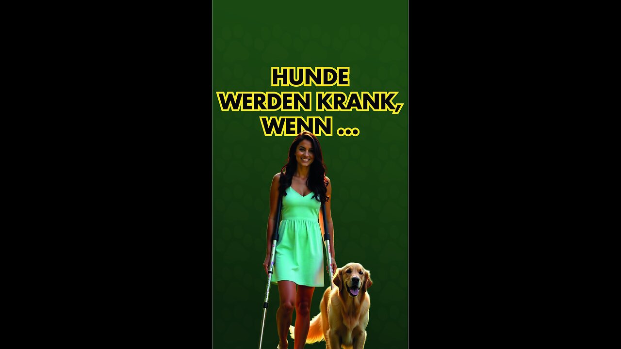 Hunde werden krank, wenn ...