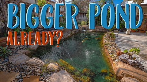 Pond Expansion with Intake Bay, Jets, and BioFalls Upgrade | Flow Landscape