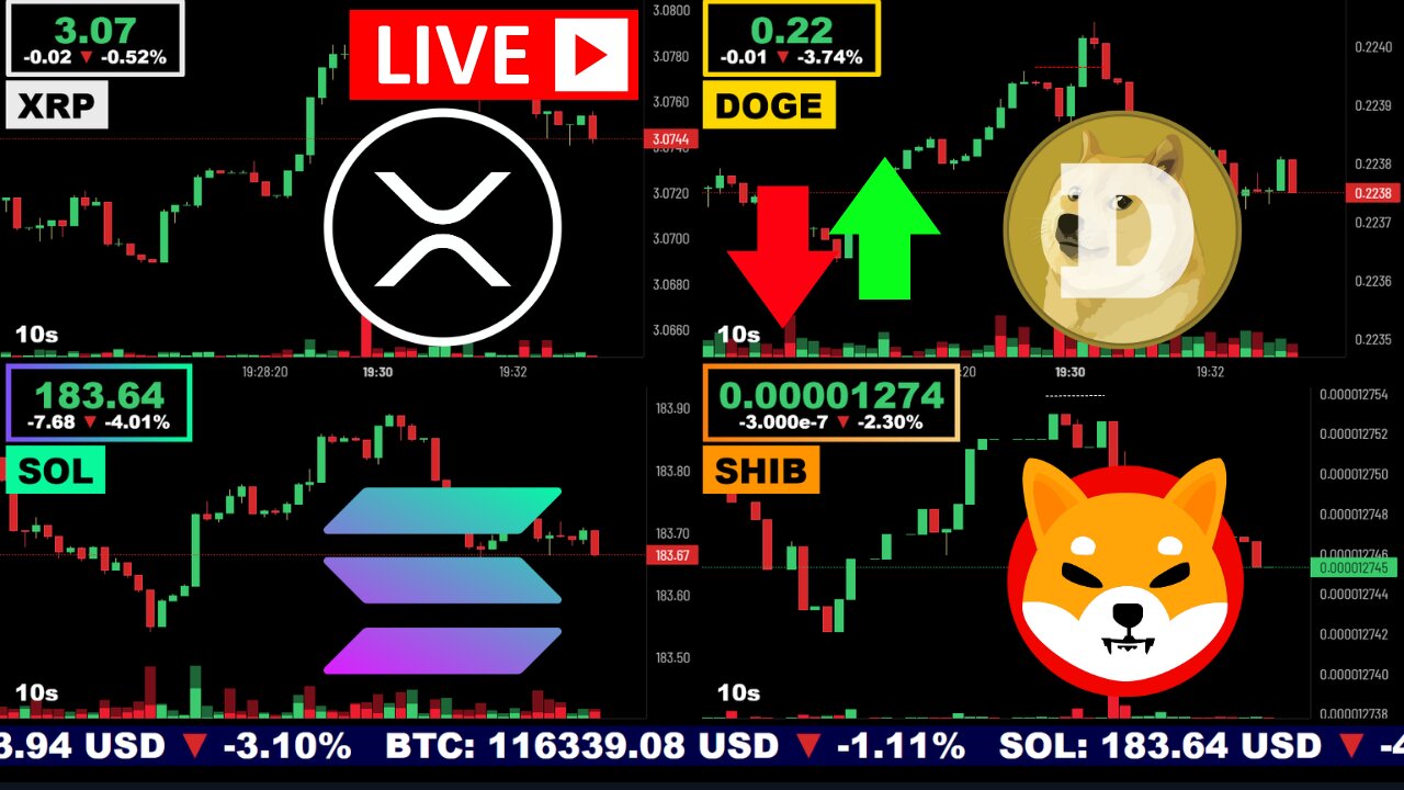 🟢 XRP, Dogecoin, Solana, and Shiba Inu | LIVE Crypto Prices & Charts 24/7 🔴