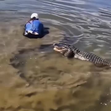 Florida lady jumps into alligator infested pond --Totally Insane!!! FEARLESS!!!