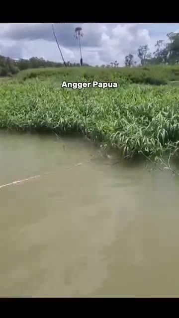 Amazing! Right on Target—You Won’t Believe What Happens Next!