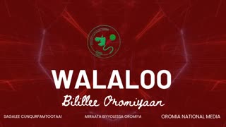Qophii Walaloo ONM-ABO Hagayya 25-2025 itti dhiyaadhaa!