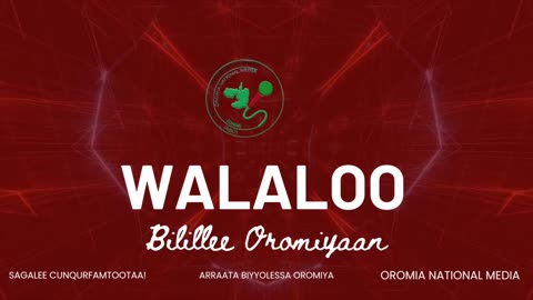 Qophii Walaloo ONM-ABO Hagayya 25-2025 itti dhiyaadhaa!