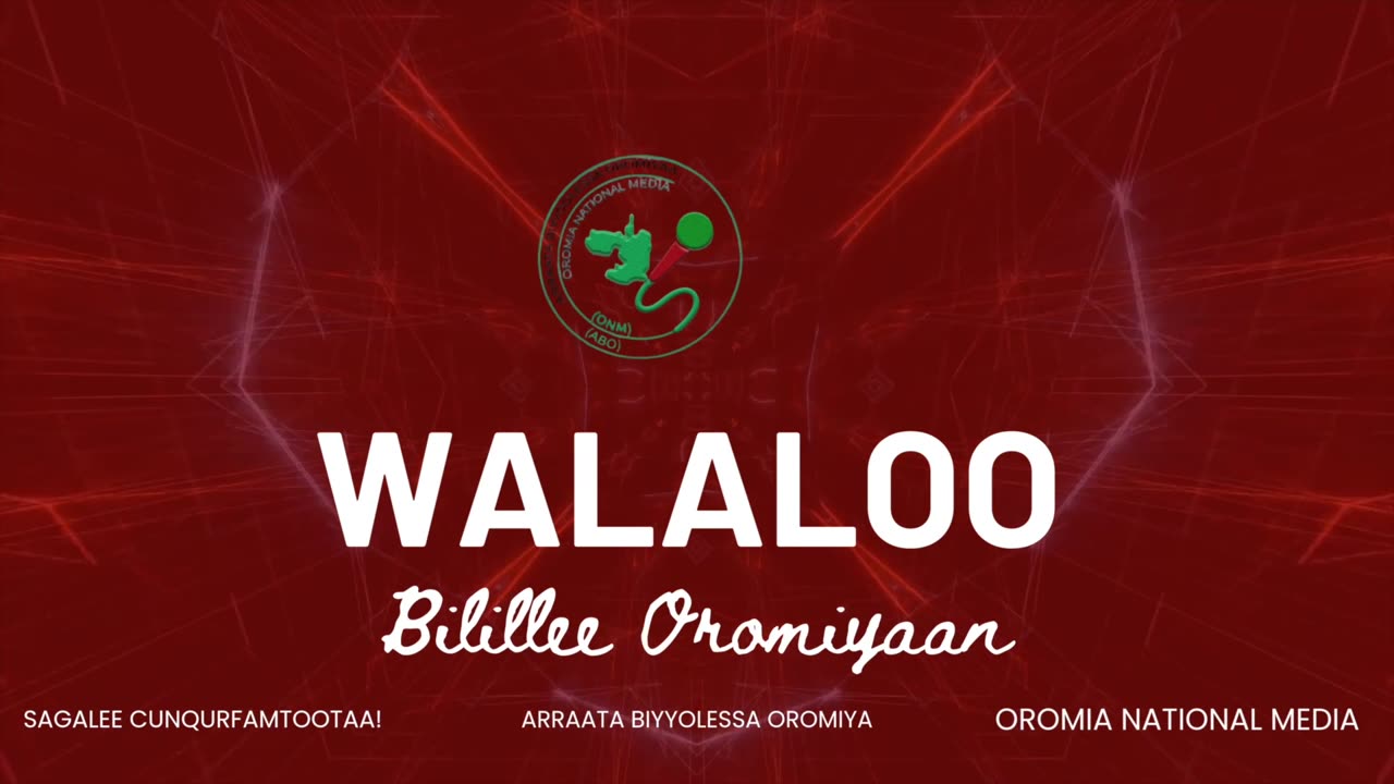 Qophii Walaloo ONM-ABO Hagayya 25-2025 itti dhiyaadhaa!