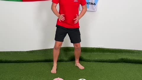 Don't Kick The Wrong BALL