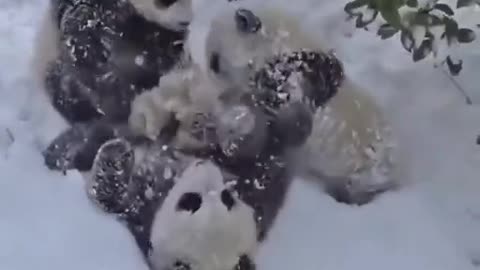 Enjoying some winter activities in the snow