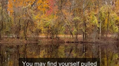 Daily Horoscope | Libra 🌟