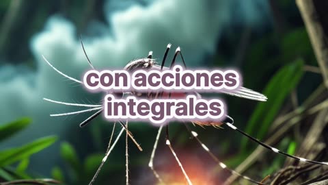 La resistencia a la fumigación de los mosquitos del dengue se debe a una mutación genética.