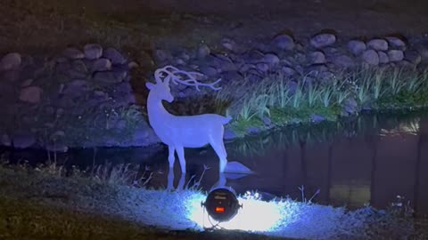 Hsinchu Lantern Festival: A Poem for the Scenery Along the Way