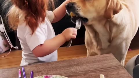 What happens when ur dog eats ALL UR FOOD!!!???