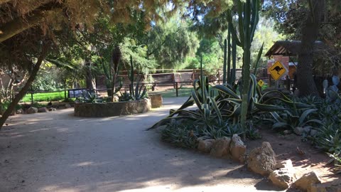 Lagos Zoo (Algarve, Portugal) 4