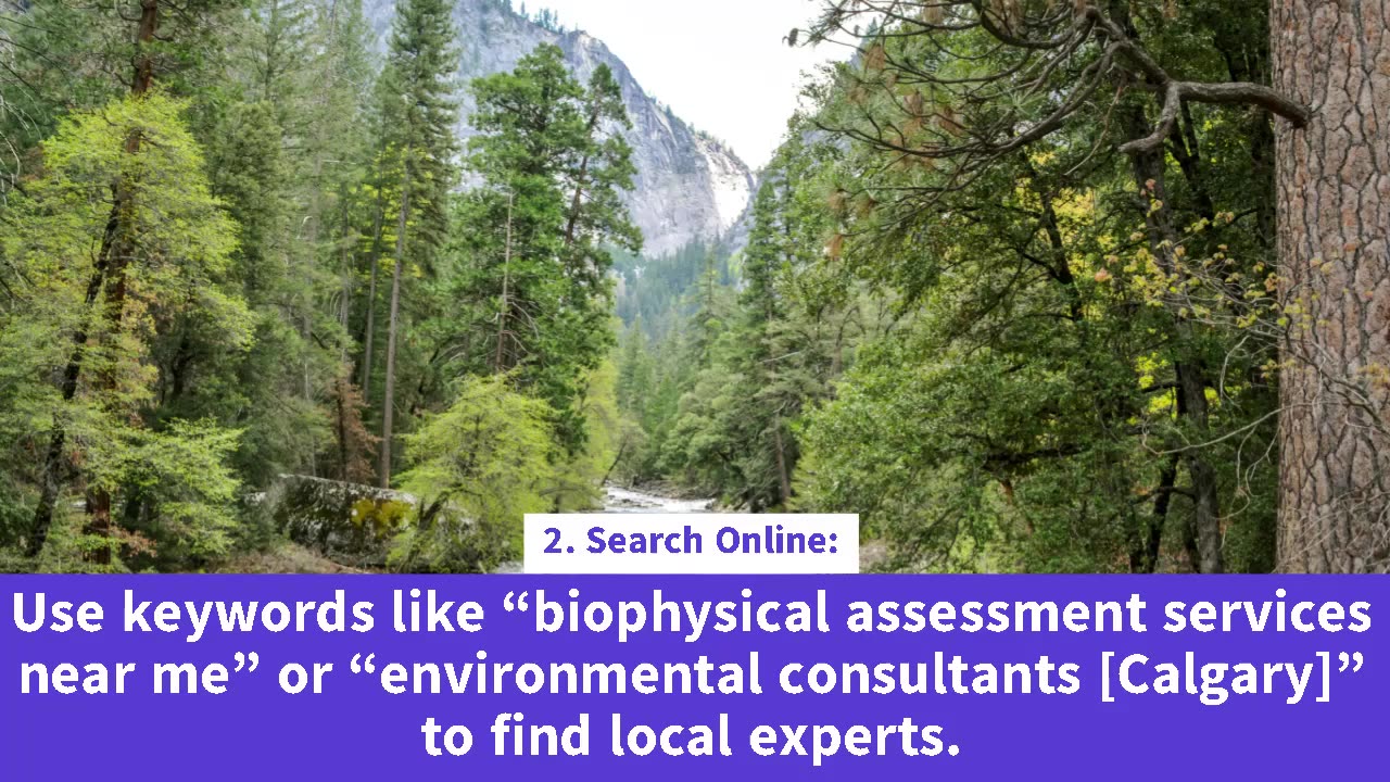 How to Find Biophysical Assessments – Point Wise Guide