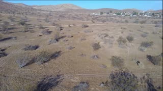 🔴POWERSPORTS, FESTS, SIMS/GAMING, COMEDY, TRAVELNSHEZ