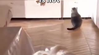 🤩✨ This Moment is Straight Out of a Pixar Movie! | FunFM