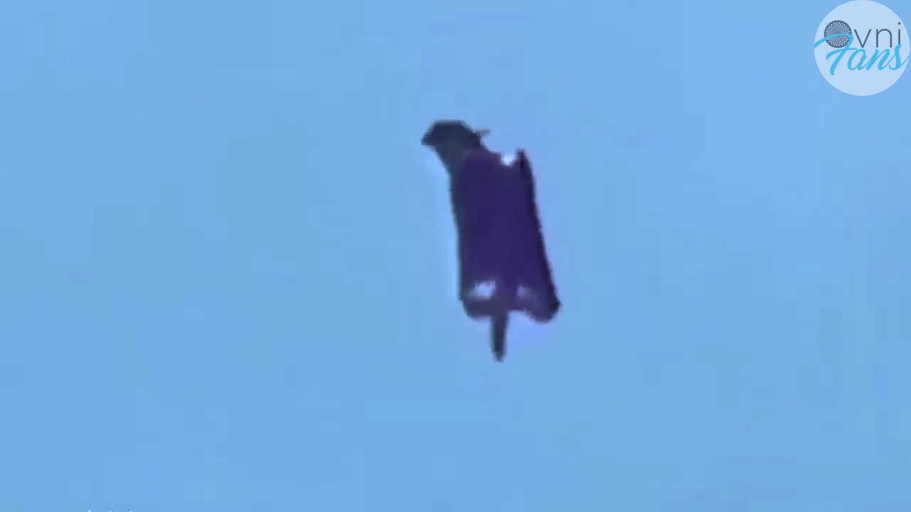 Mysterious Creature in the Sky of Morocco
