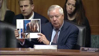Lindsey Graham mocks Democrats as Trump DEA nominee confirms MS-13 gang tattoos
