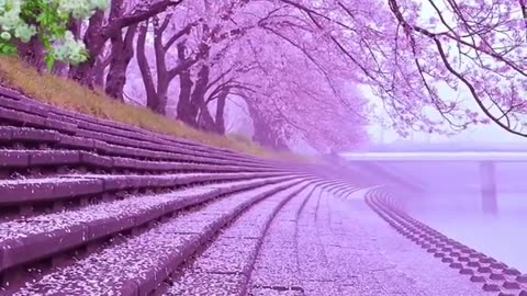 Beautiful nature 😍😍😍