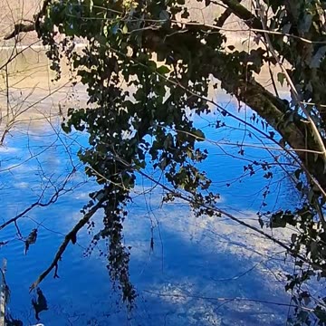 432Hertz Healing Music