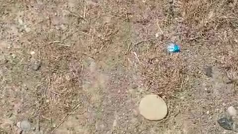 Gramsh, mbeten të lënduar disa banorë. Skënderbegasi drejt evakuimit të plotë