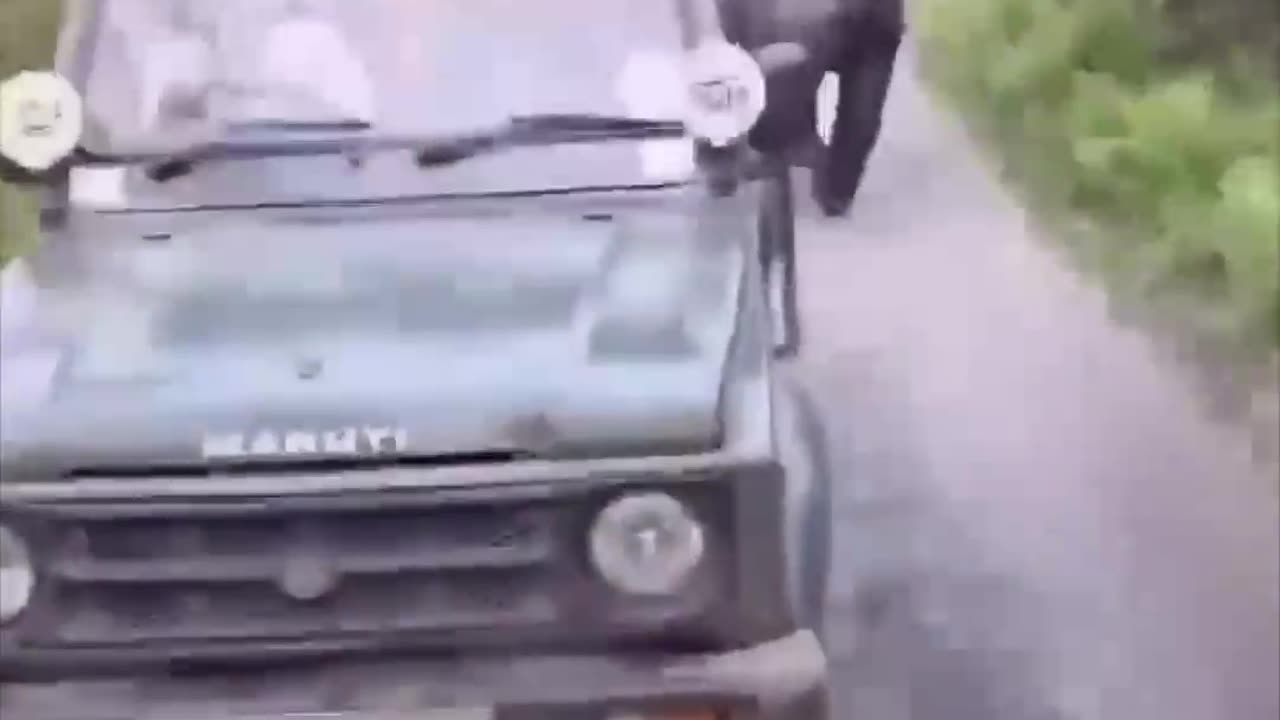 Un rinoceronte ‘caza’ a turistas en un safari