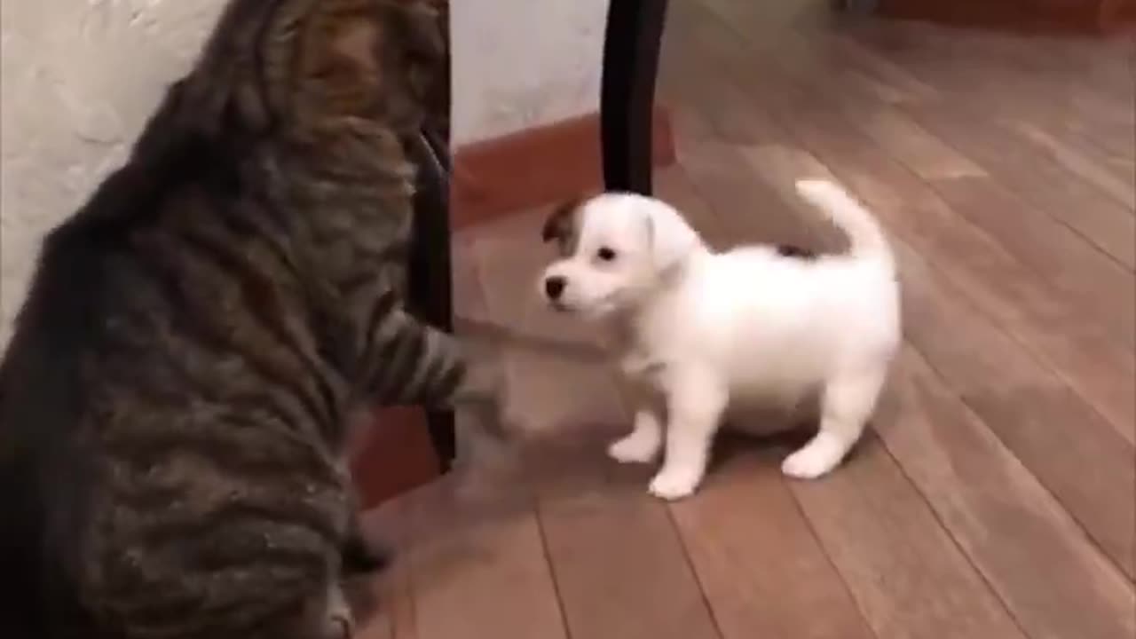 😊