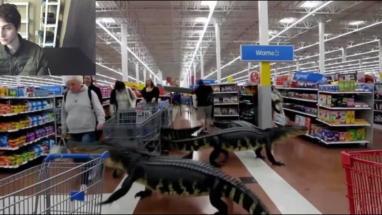 Over 2 Fictitious Crocodiles Roam Around A Walmart Supercenter Fake Strange Video